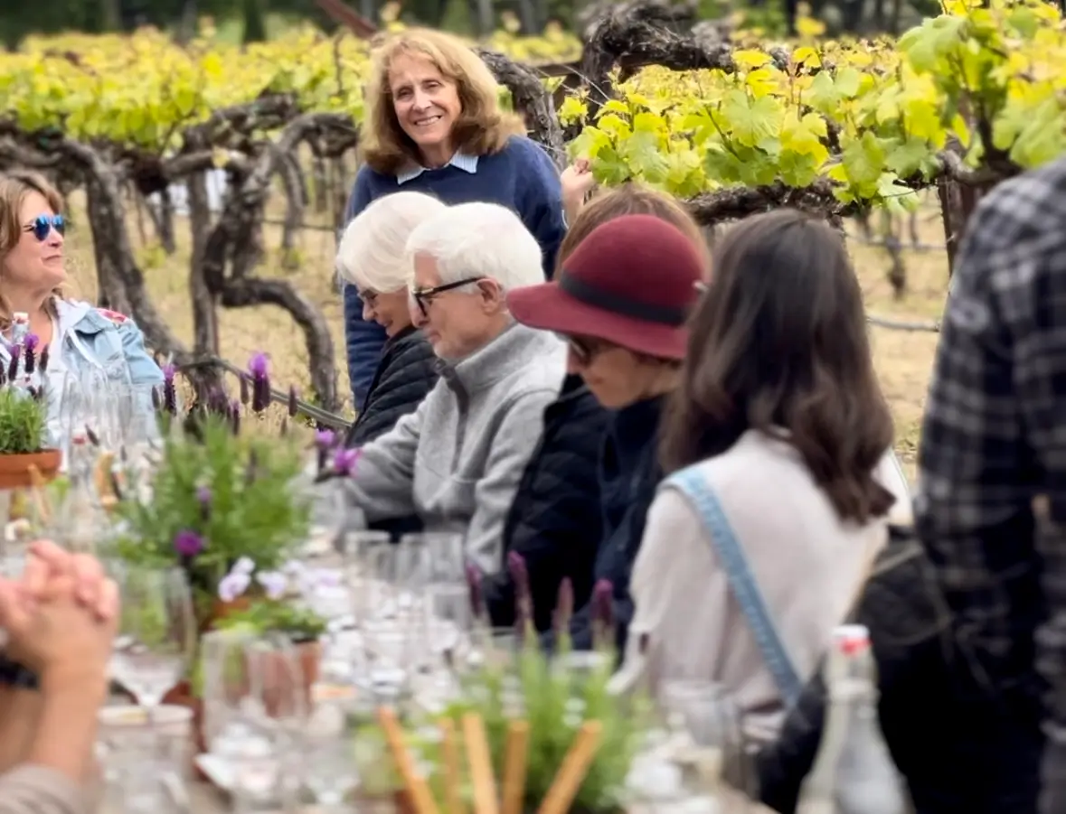 Day in the Vineyard